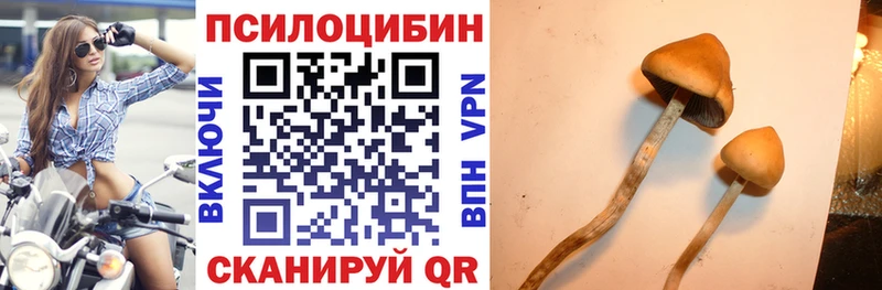 Псилоцибиновые грибы мицелий  Пыталово 